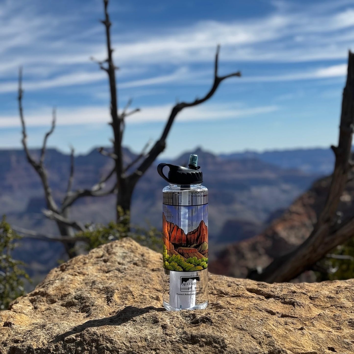 Epic Water Filters Nalgene OG Water Bottle with Filter, USA Made, BPA Free, Removes 99.99% Tap Water Contaminants, Forever Chemicals