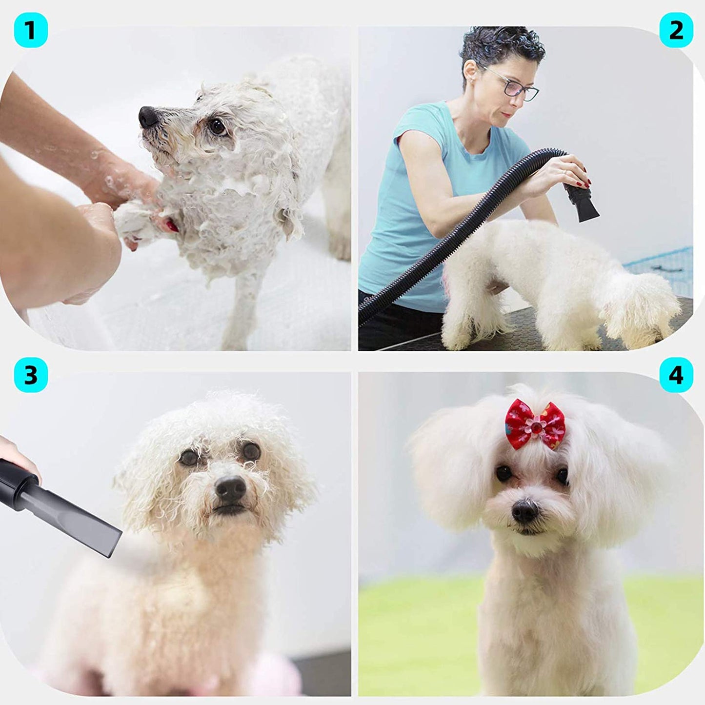 PJDDP 2400W Dog Hair Dryer Blaster Pet Grooming Hair Dryer High Velocity Motorbike Dryer with Adjustable Temperature for Dogs & Cats,with 2.3M Flexible Hose and 3 Nozzles,A Comb and A Glove,White