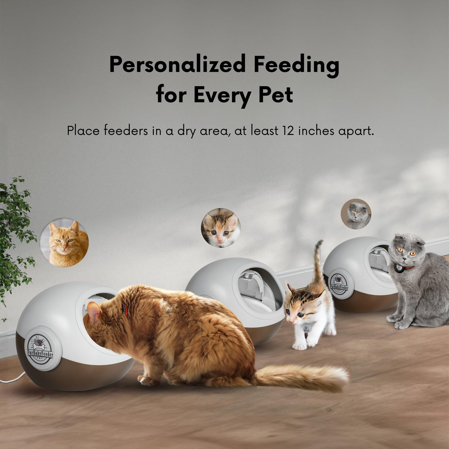 FurBabyFeeder Sphere – RFID Automatic Cat Feeder with Mute Option & Tag Sleeve – Smart Feeder for Multi-Cat Homes – Works with Wet & Dry Food – Secure Locking Doors, LCD Display - Coffee