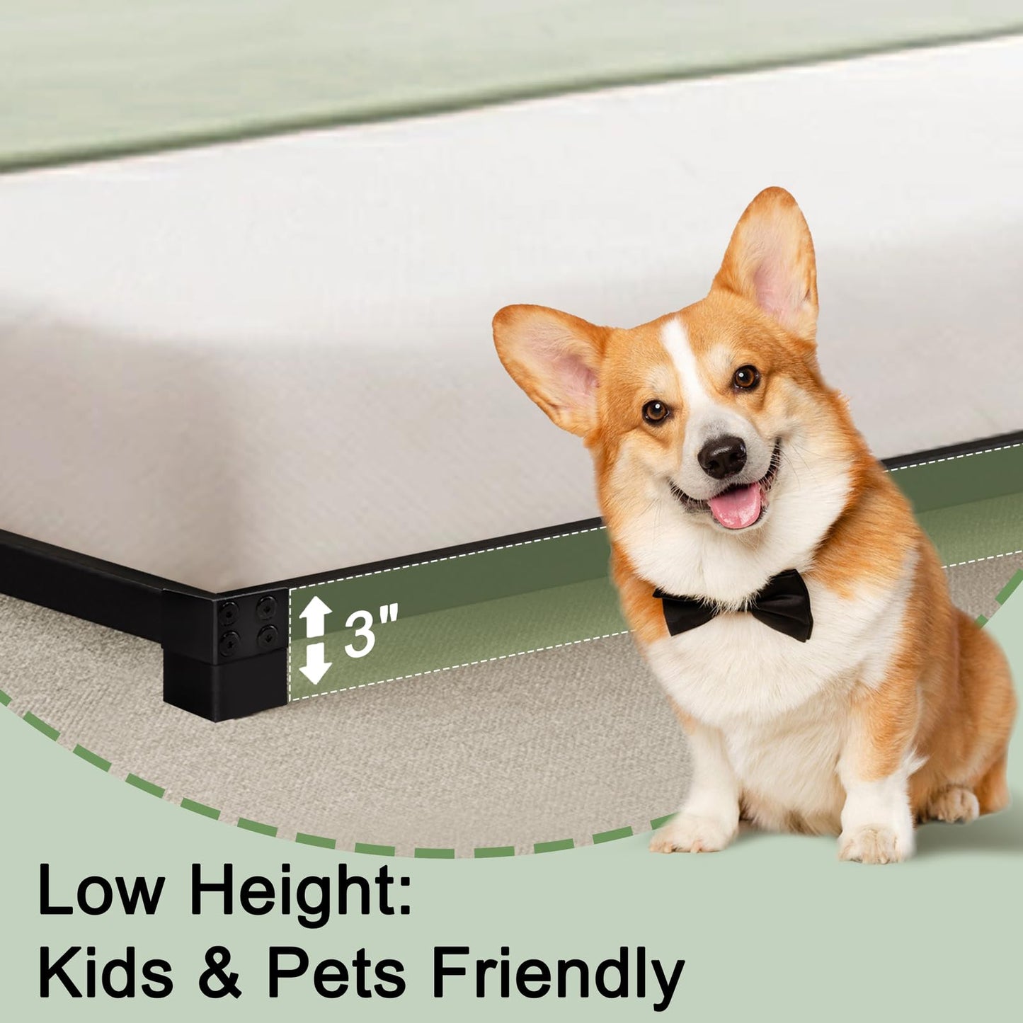 Alderose 3 Inch Queen Bed Frame Low Profile, Queen Size Bed Frame, Heavy Duty Metal Platform No Box Spring Needed, Easy Assembly Mattress Foundation, No Noise, Black