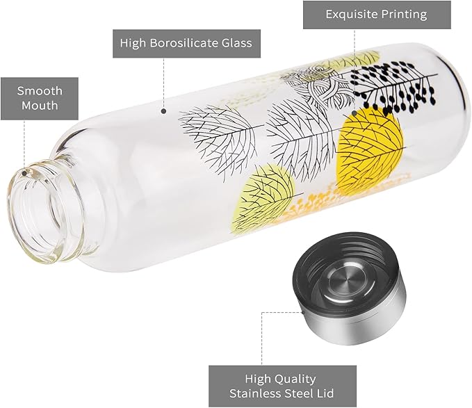 Borosilicate Glass Water Bottle, Sports Glass Drinking Bottle with Neoprene Sleeve and Stainless Steel Lid 16oz / 32oz (16oz, Forest)