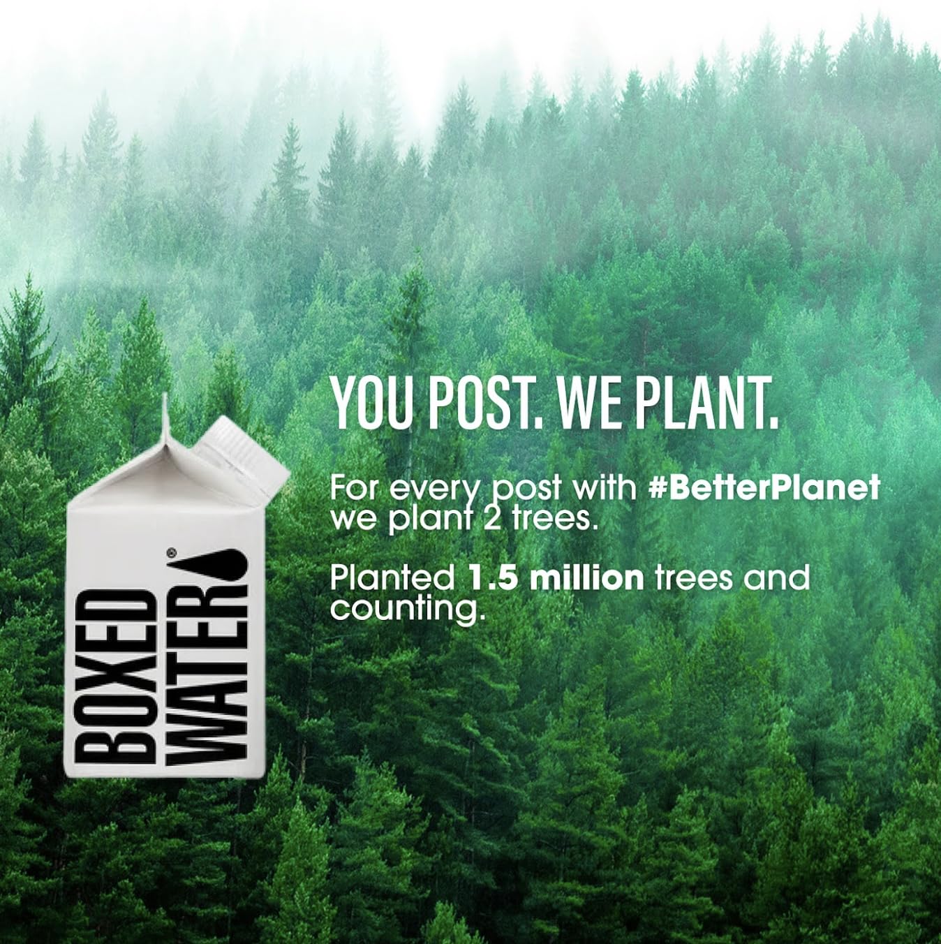 Boxed Water 8.5 oz. (24 Pack) – Purified Drinking Water in Boxes, BPA-Free, Refillable Cartons, Sustainable Alternative to Plastic Bottled Water, Mini Water for Kids