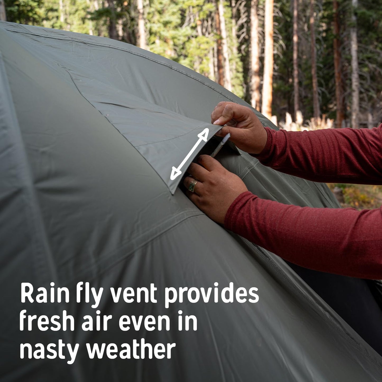 Kelty Daydreamer 4P + 6P Camping Tent, Blackout Fabric, Interior Light Diffusing Gear Loft, Standing Height, PFAS Free (4 Person)