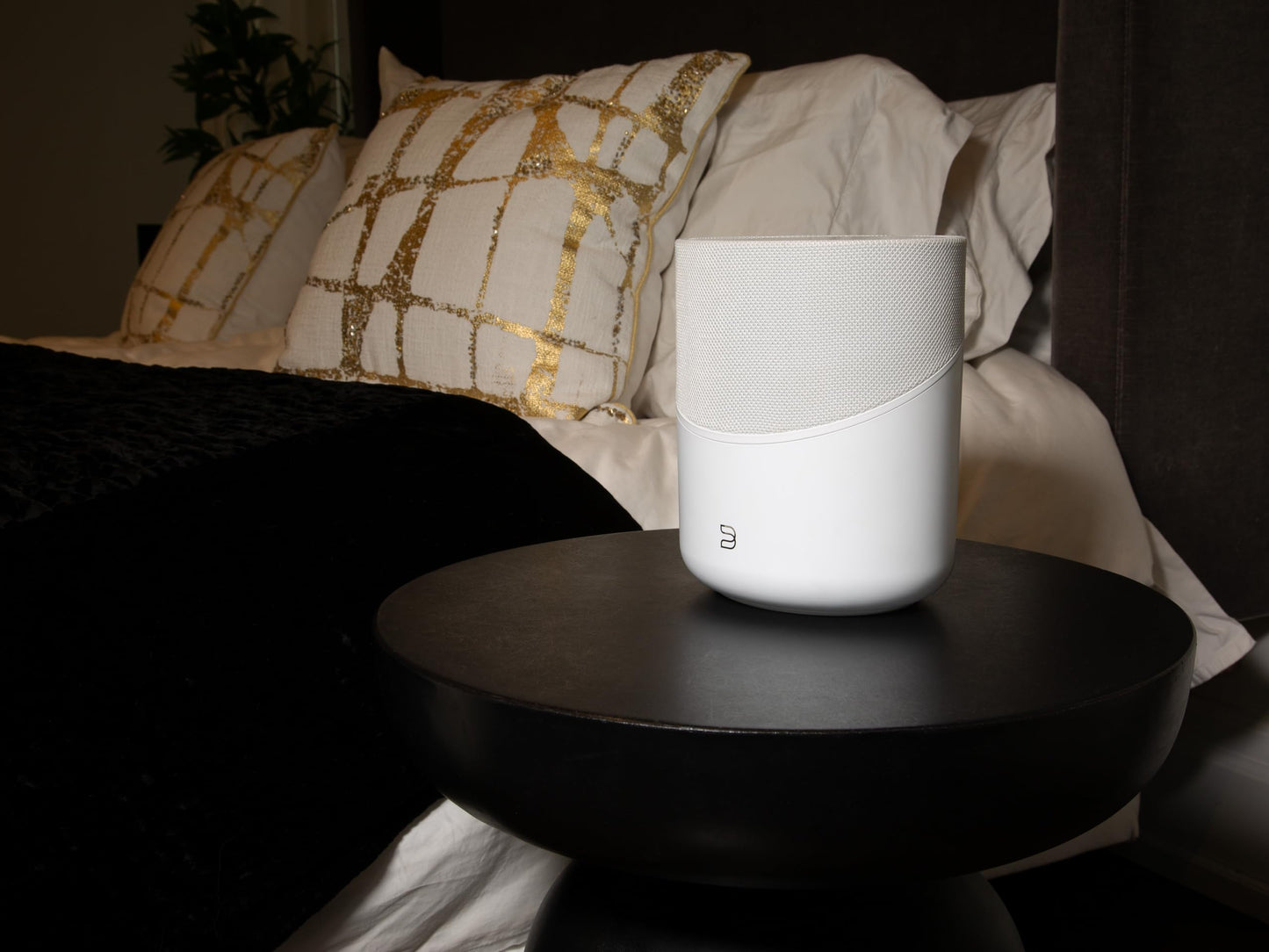 Bluesound Pulse M Omni-Hybrid Wireless Music Streaming Speaker with Bluetooth - White - Compatible with Alexa and Siri