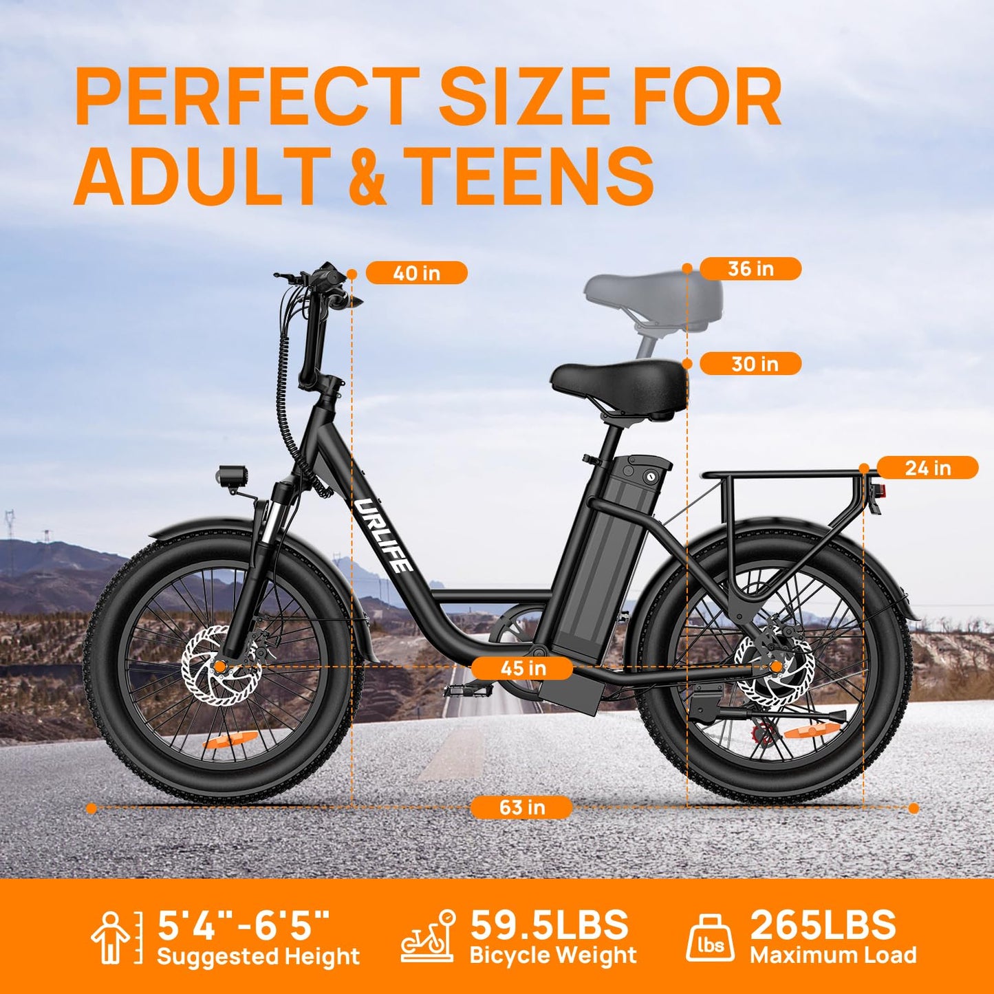 URLIFE Electric Bike for Adults, 1000W Peak Motor Ebike, 48V 13Ah Removable Battery, 28MPH,80 Miles Max, 20" Fat Tire Electric Bicycle with Colorful Display, All-Terrain E-Bike for Adults and Teens