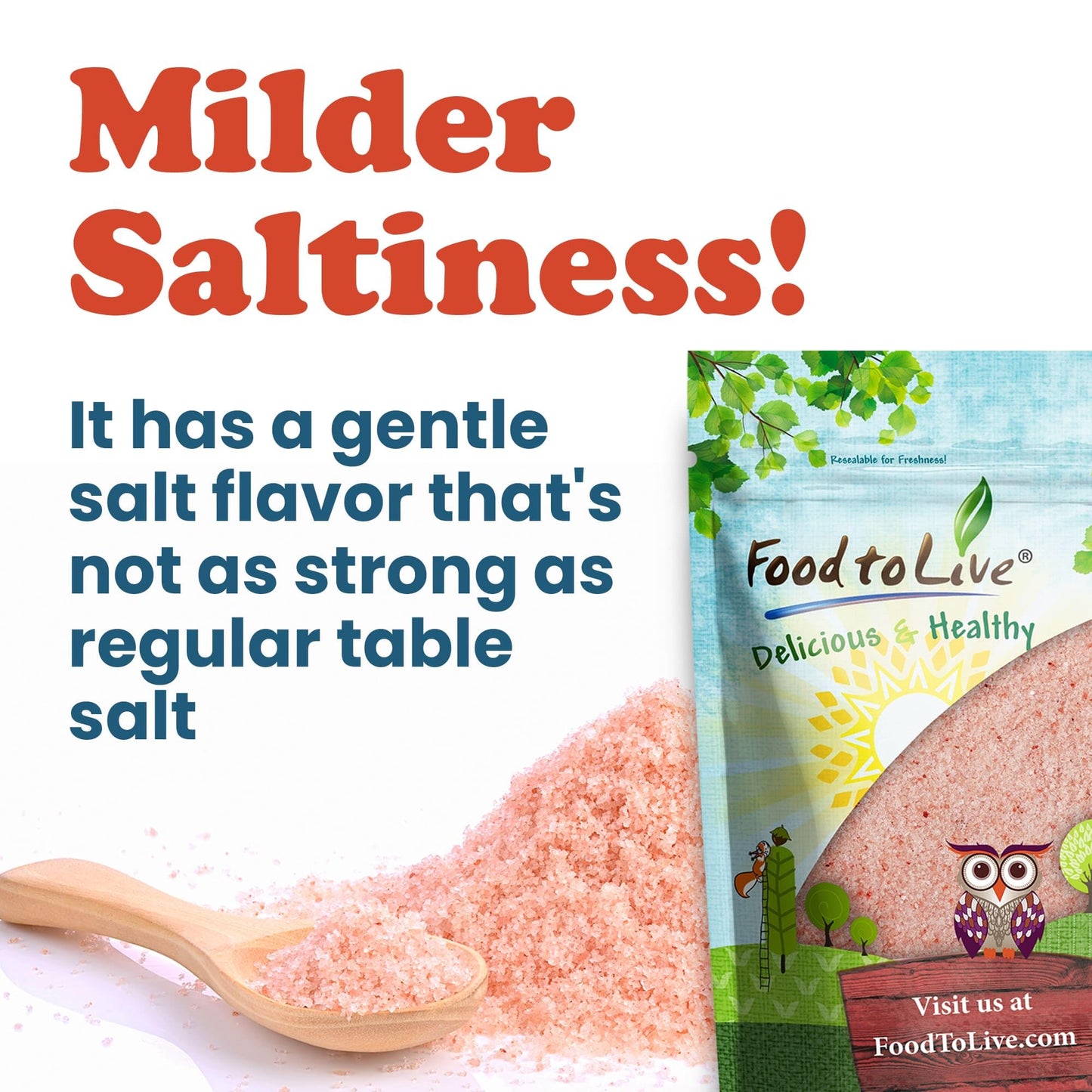 Food to Live Himalayan Pink Salt, 2 Pounds – Fine Grind, Pure, No Additives, No Preservatives, Vegan, Kosher, Bulk. Basic Seasonings. Packed with Minerals. Great for Cooking, Baking, Salt Shakers.