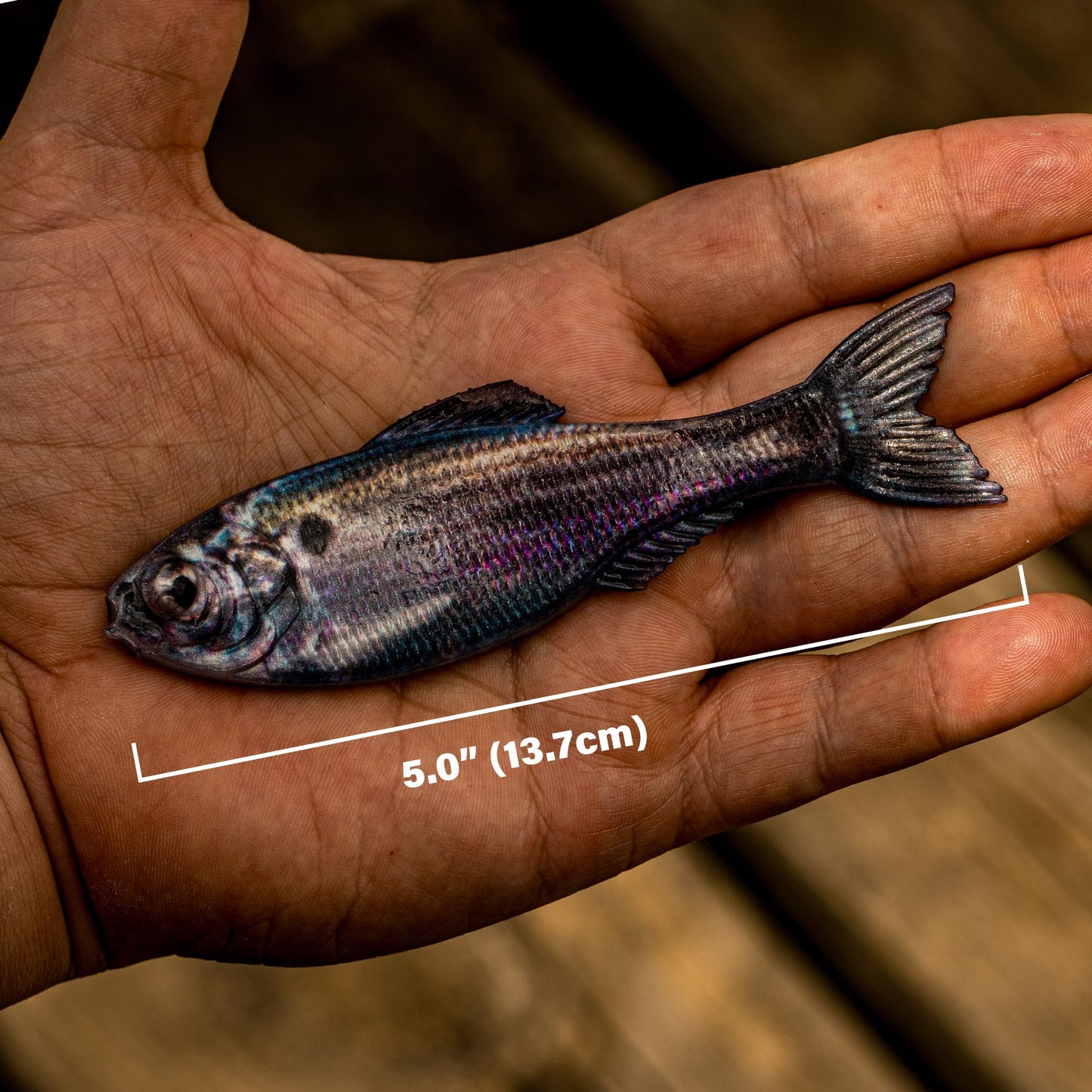 6th Sense Panorama Soft Plastic Lure – Realistic Forage Imitation, Versatile Rigging, Fluid Movement, Premium Paint Schemes