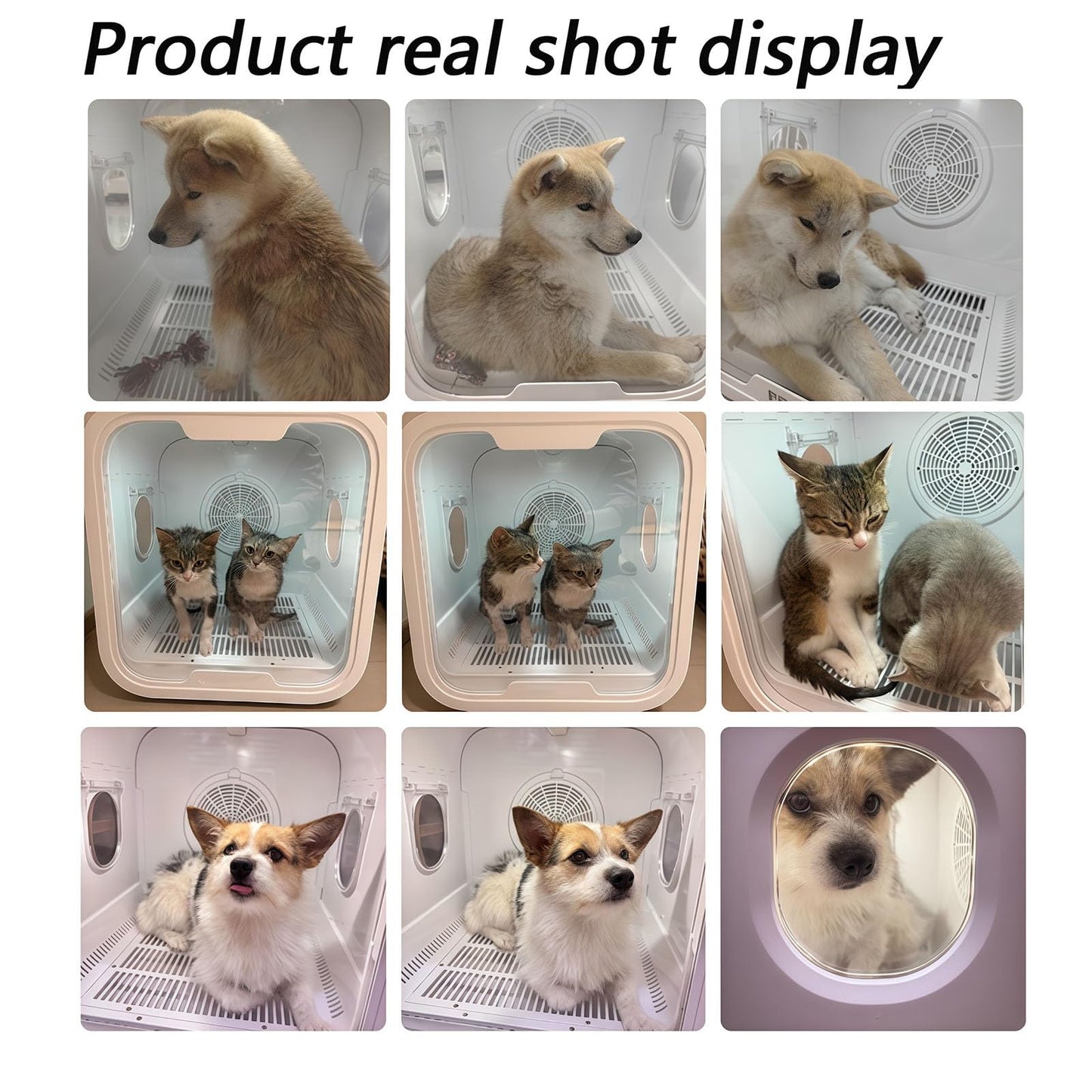 Ultra Quiet Pet Dryer Box for Dogs & Cats, Low Noise Dog Hair Dryer with Calming Window & Removable Filter, 72L Grooming Dryer