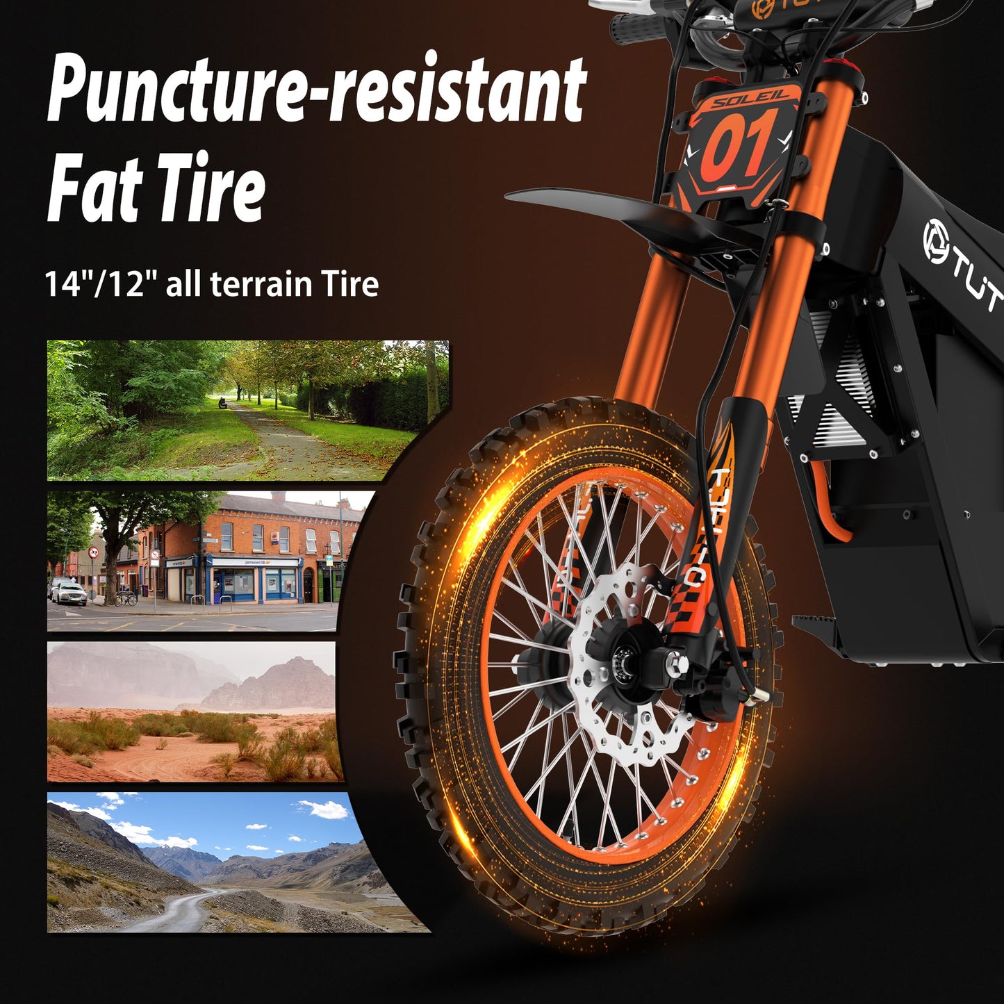 Tuttio Electric Dirt Bike Teens Adults Electric Bike 48V 21AH Removable Battery with Hydraulic Brakes (21AH Dirt Bike)
