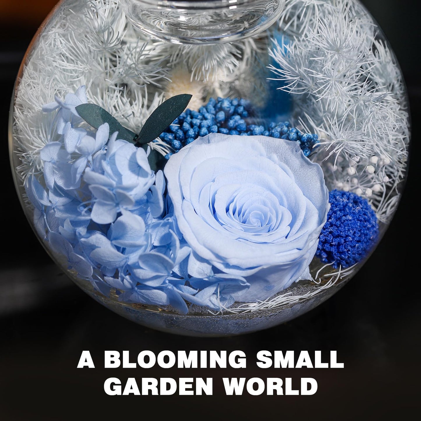Aoshin Preserved Flowers Rose in Glass Dome with Aromatherapy Candle, Eternal Flowers Gift Set for Women Wife Girlfriend Mom Grandma - Mother Day Christmas Anniversary Birthday Gift (Blue-Rose)