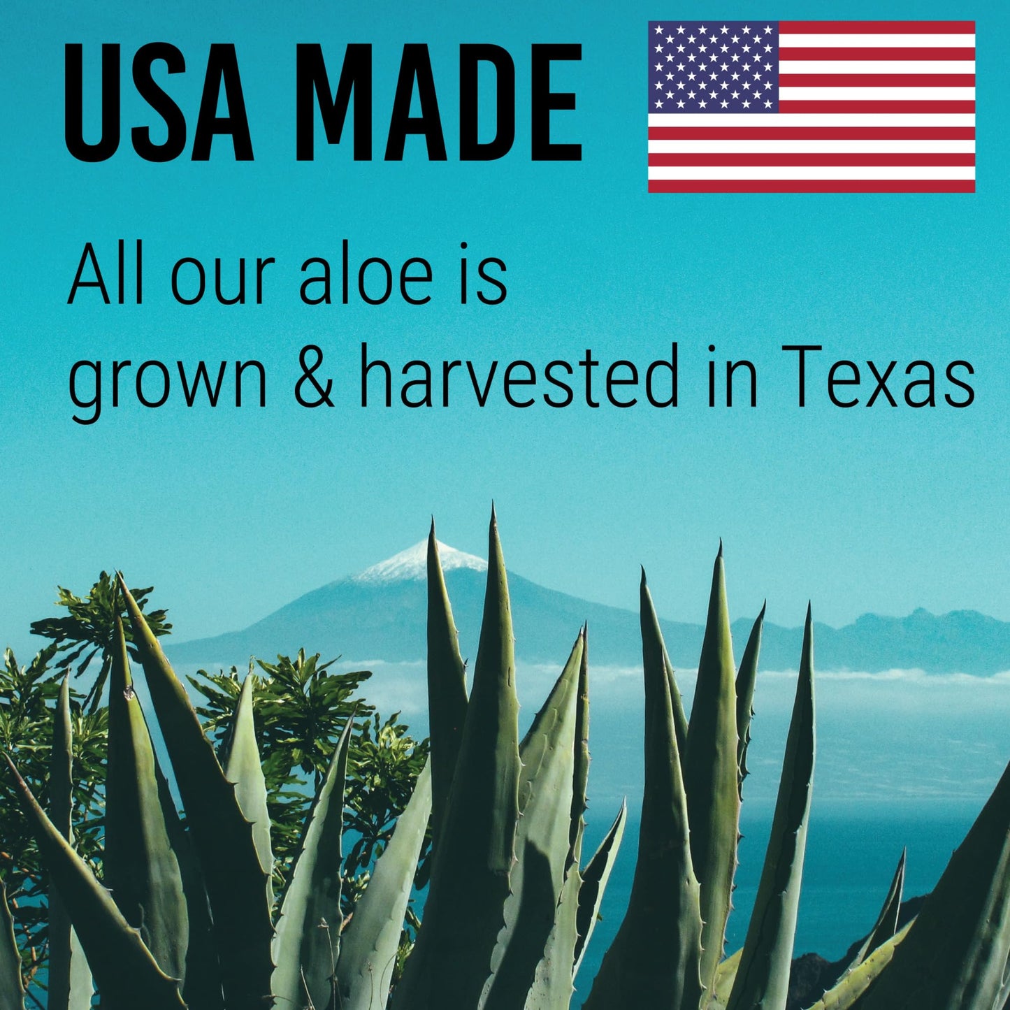 Amazing Aloe Vera Gel - Freshly Cut, 100% Pure Aloe, Premium Quality, Vegan, Unscented - Natural Sunburn Relief, After Shave, Skin, Face & Hair Care 12oz