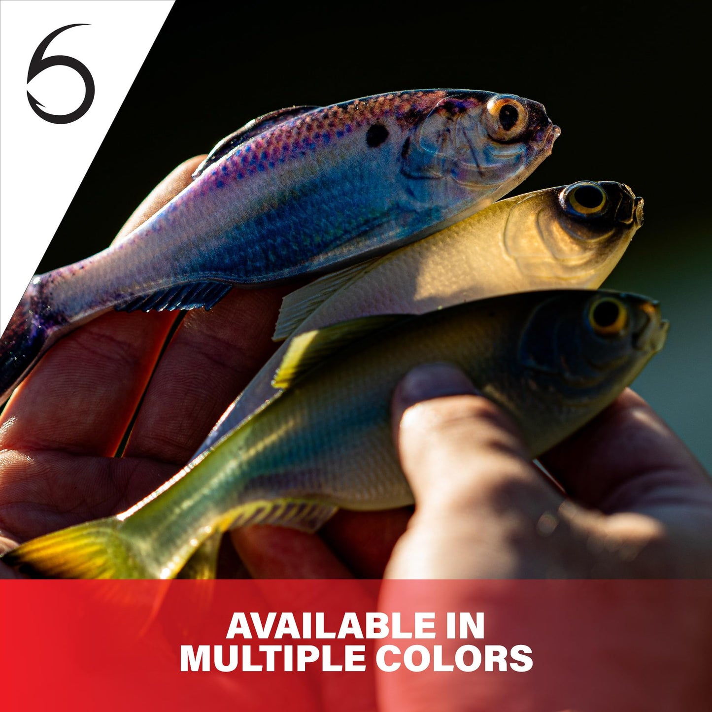 6th Sense Panorama Soft Plastic Lure – Realistic Forage Imitation, Versatile Rigging, Fluid Movement, Premium Paint Schemes