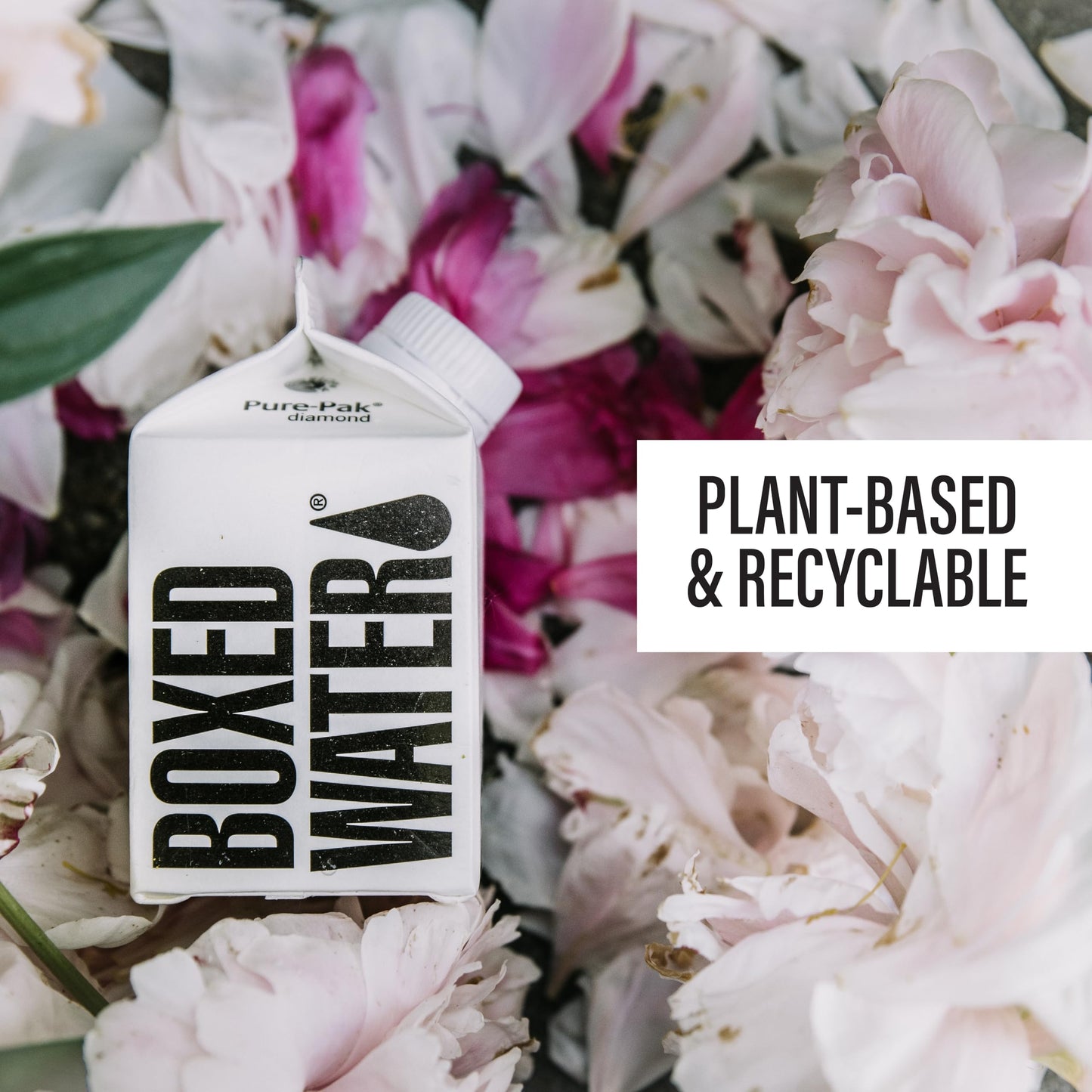 Boxed Water 8.5 oz. (24 Pack) – Purified Drinking Water in Boxes, BPA-Free, Refillable Cartons, Sustainable Alternative to Plastic Bottled Water, Mini Water for Kids
