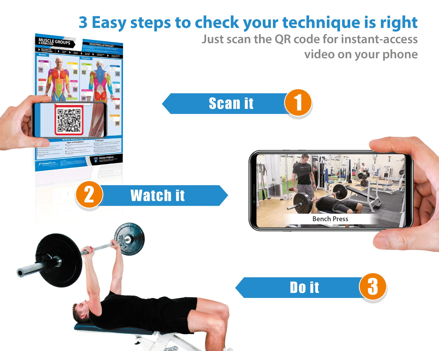 Muscle Groups & Exercises Gym Poster - Laminated - EXTRA LARGE 33” x 23.5” - Gym & Home Fitness Wall Chart - Includes Online Video Training