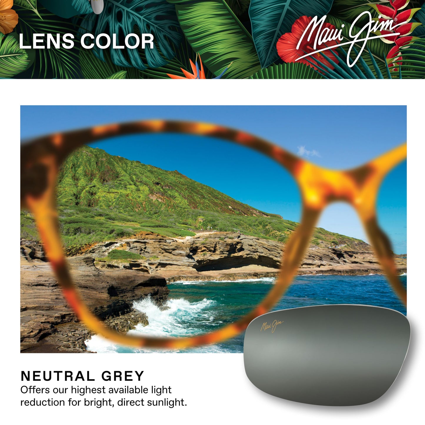 Maui Jim Maluhia Square Sunglasses, Shiny Black W/Trans Light Grey/Neutral Grey Polarized, Medium