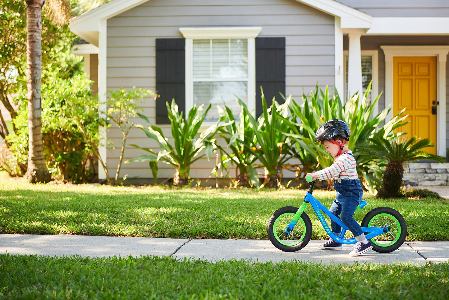Schwinn Spitfire Boys Balance Bike, 12-Inch Wheels, Beginner Riders Ages 2-4 Years Old, Training Wheels Not Included, Blue