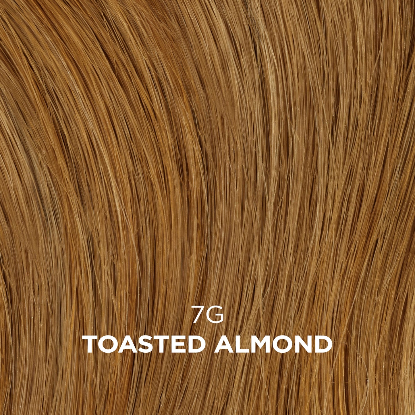 Clairol Professional Beautiful Collection Advanced Gray Solutions, 7G Toasted Almond, 3 oz.