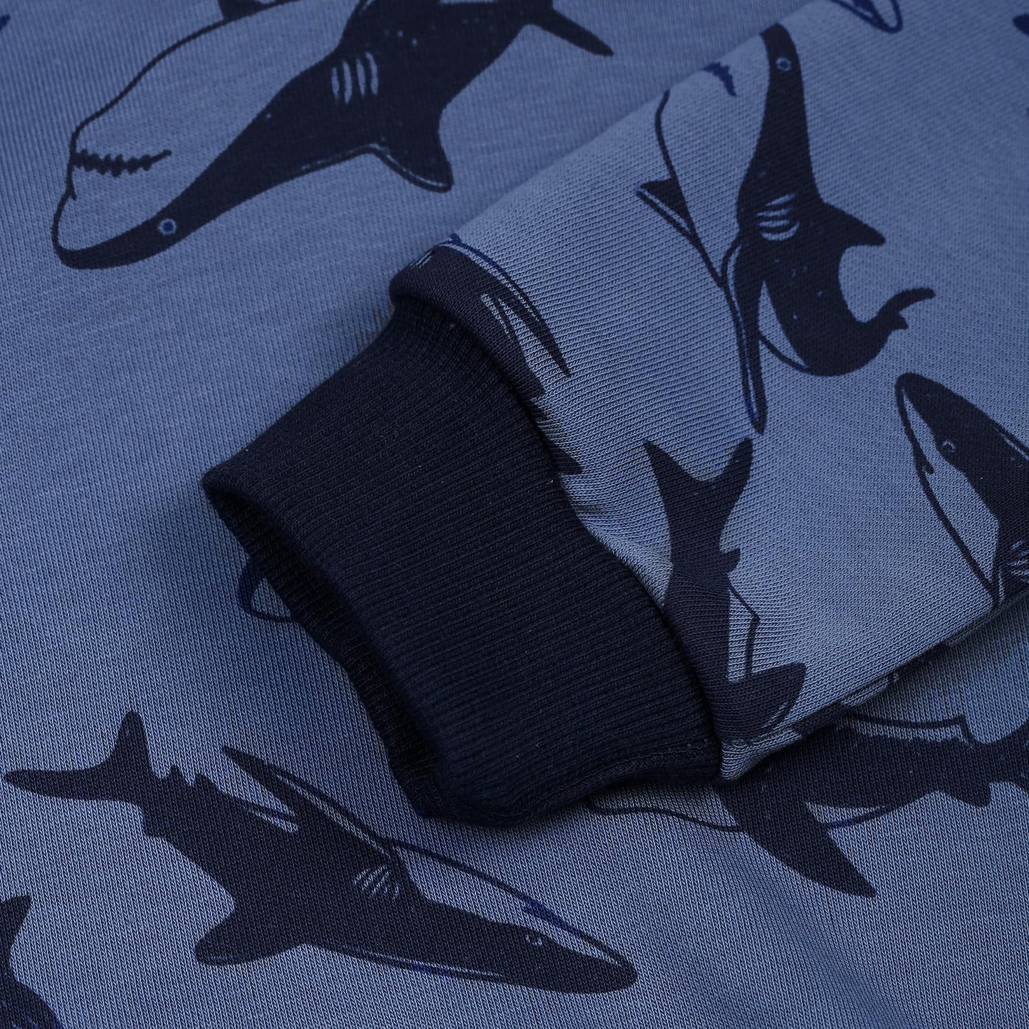 Akyzic Baby Boys Shark Hoodie Sweatshirt Toddler Long Sleeve Cotton Pullover Shirts Kids Winter Warm Sweater Tops shark-8222-6T