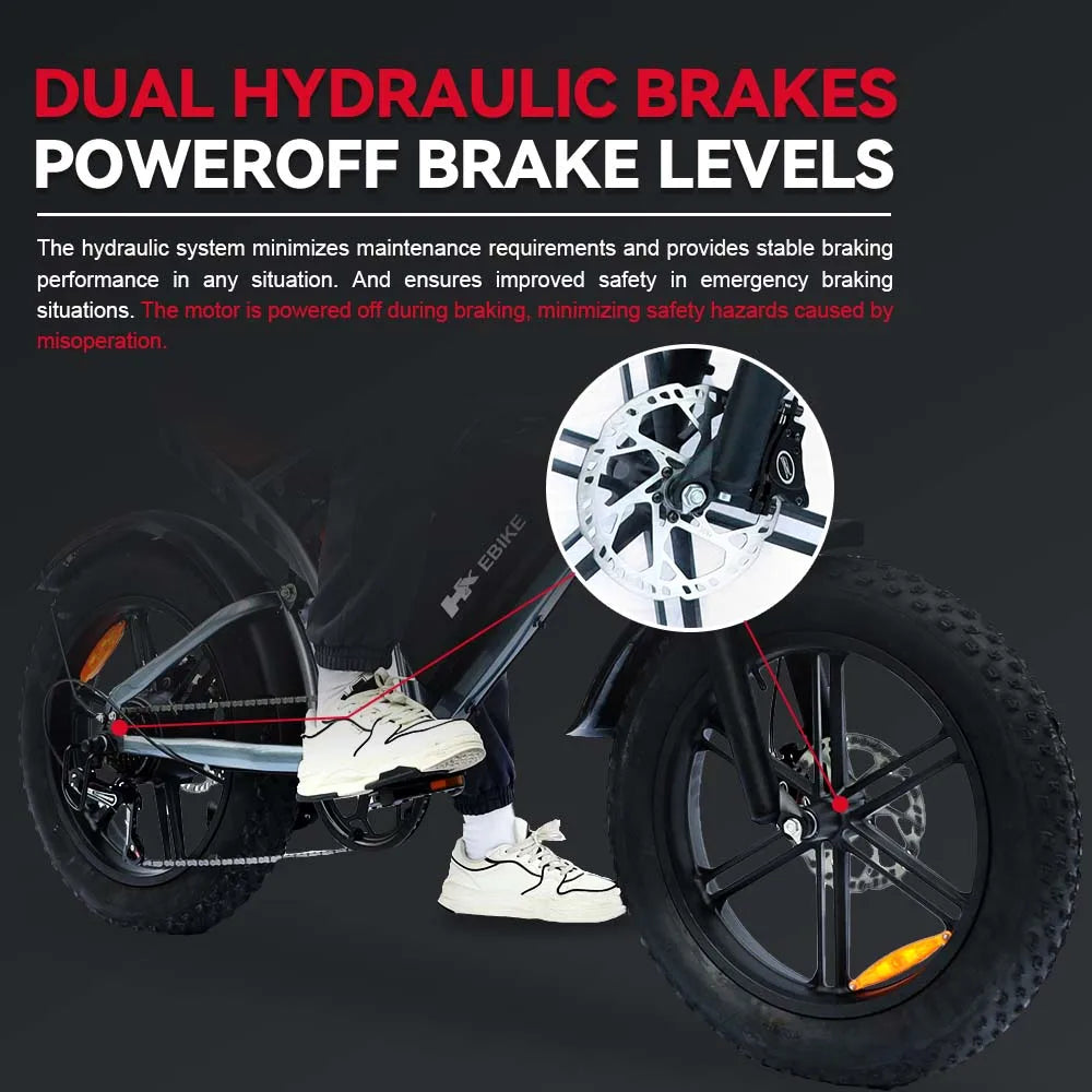 HX Q20PRO 2000W Fat Tire Electric Bike
