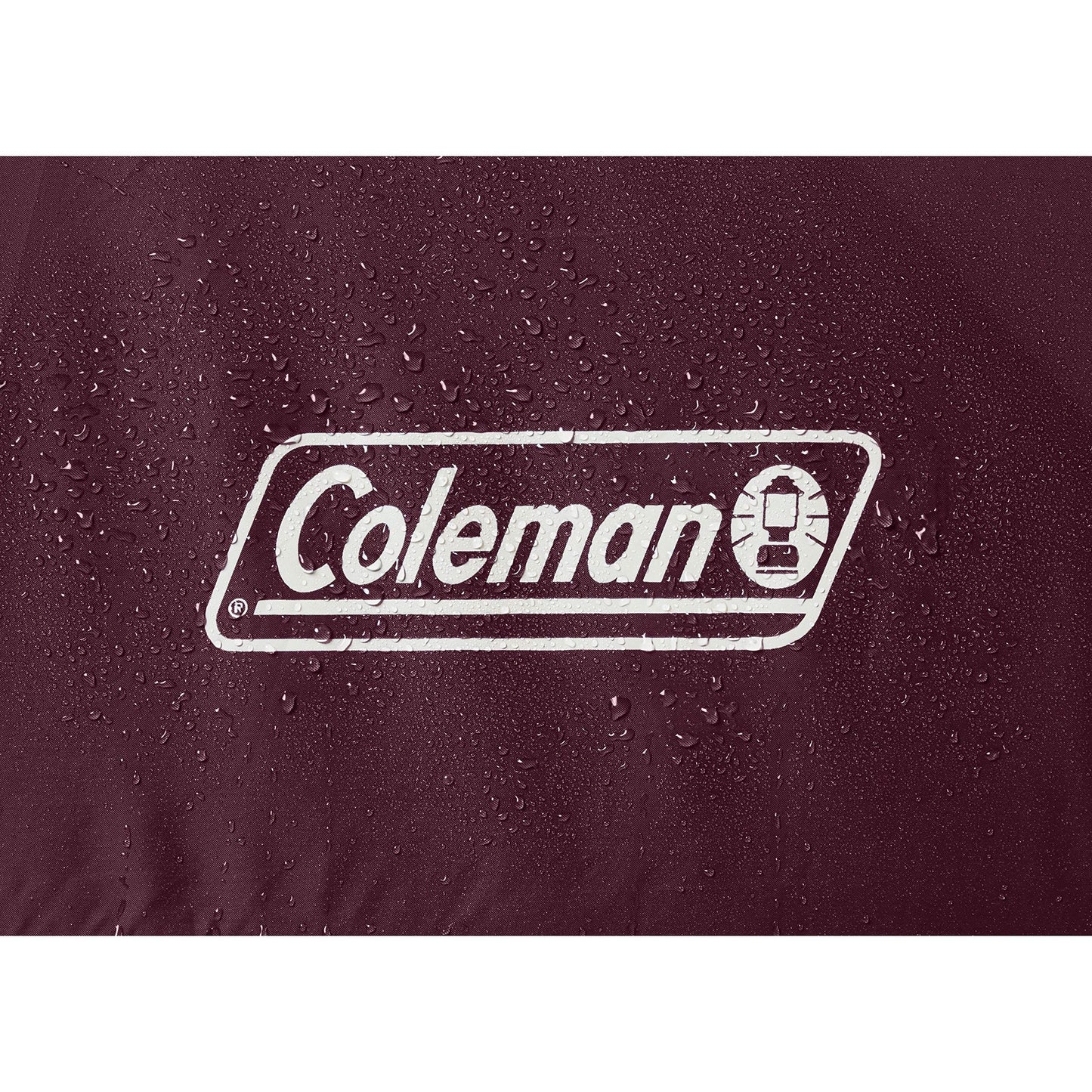 Coleman Skydome Tent with 5 Minute Setup, 4-Person Weatherproof Tent with Rainfly & Carry Bag, 20% More Headroom Than Traditional Canopies
