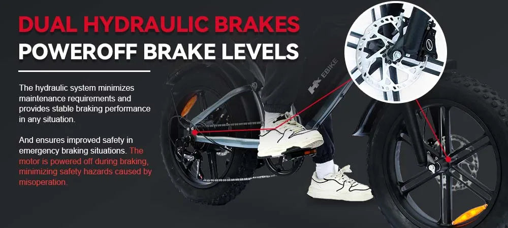 HX Q20PRO 2000W Fat Tire Electric Bike