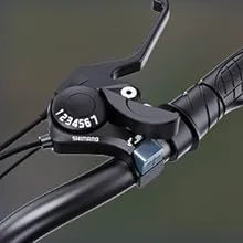 1500W 20" Fat Tire Electric Dirt Bike