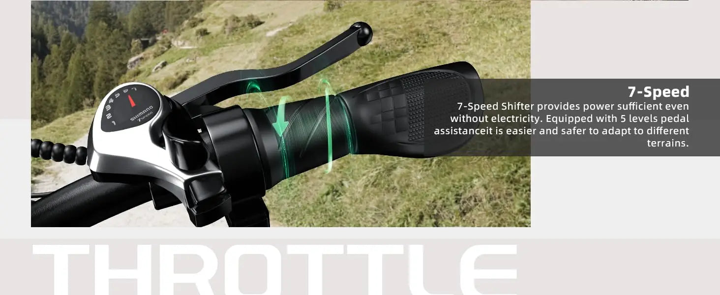 1000W Folding Electric Commuter Bike