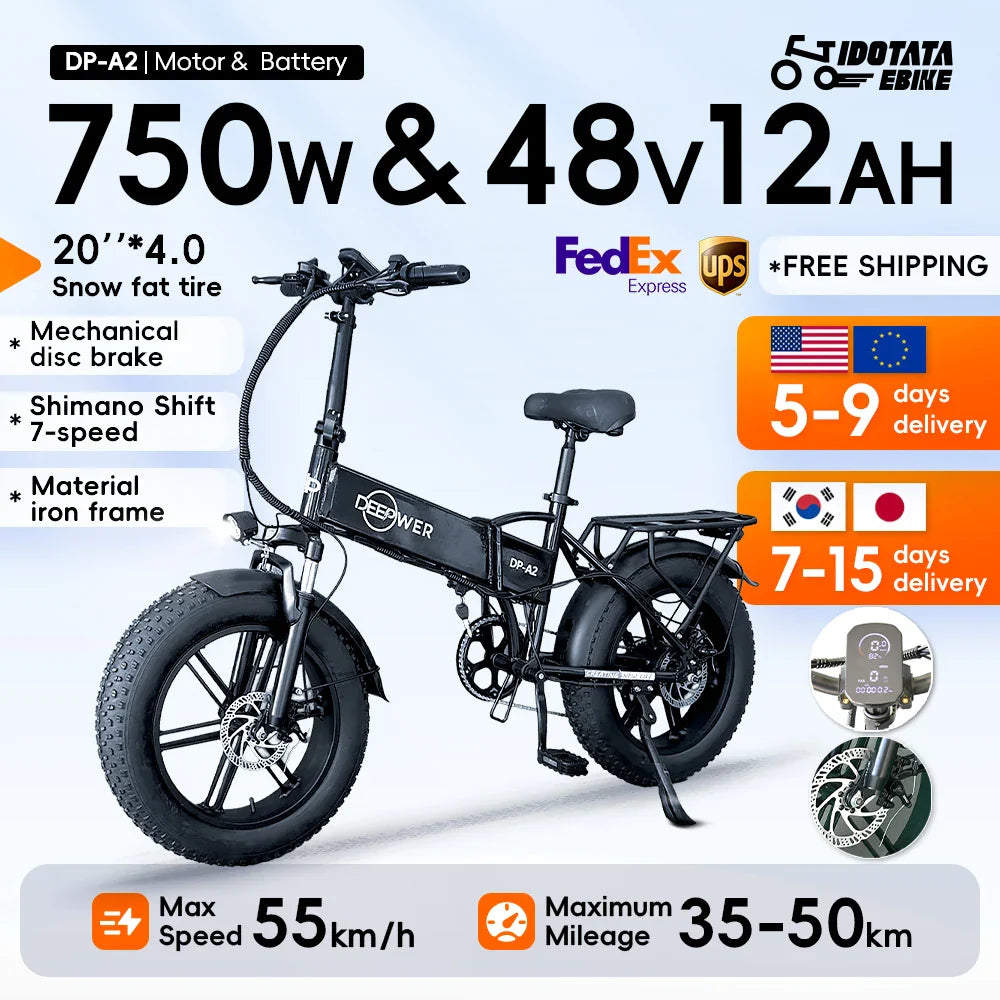 IDOTATA 1000W Folding Electric Bike