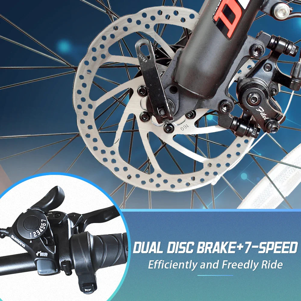 DEEPOWER G20 1000W Folding Fat Tire Ebike