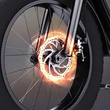 1500W 20" Fat Tire Electric Dirt Bike