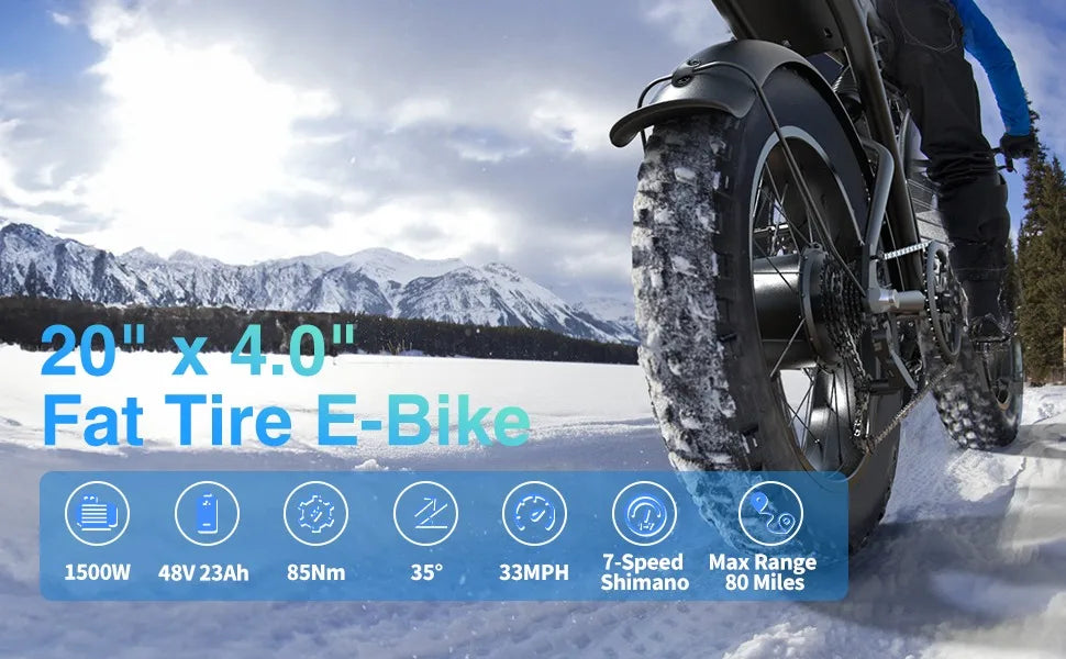 1500W 20" Fat Tire Electric Dirt Bike
