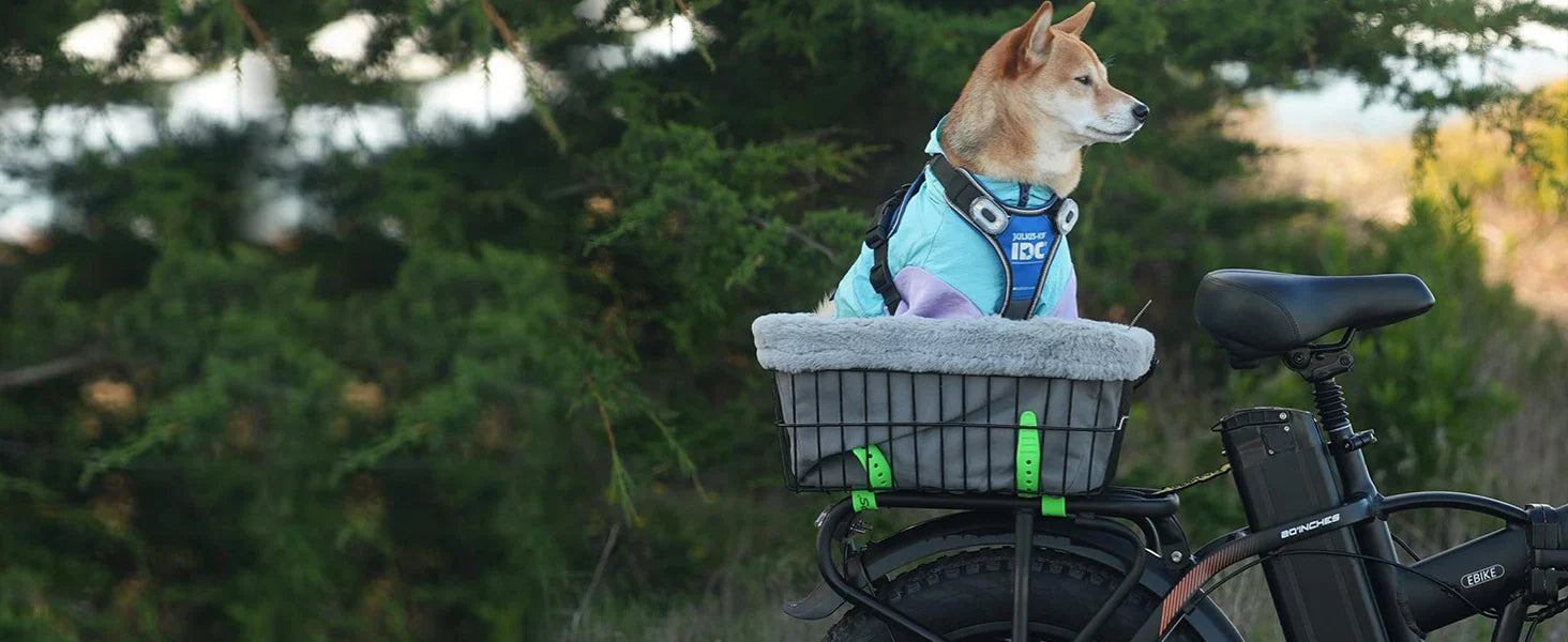 1000W Folding Electric Commuter Bike
