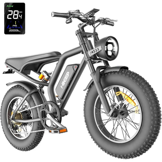 1000W 20" Fat Tire Electric Bike