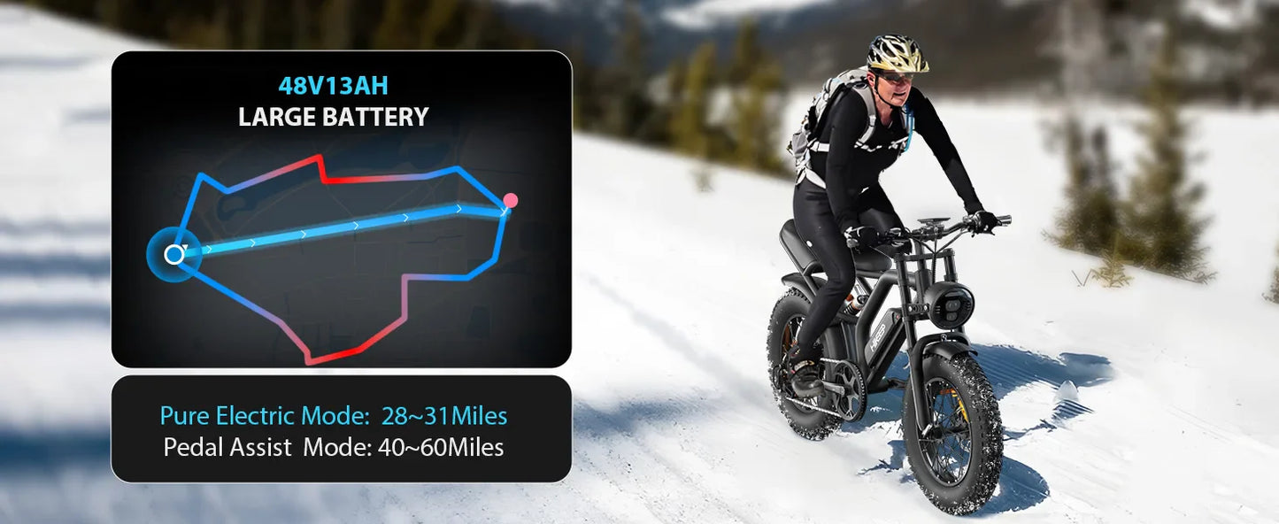 1000W 20" Fat Tire Electric Bike