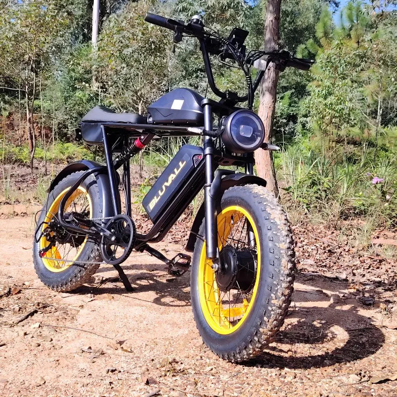 Bluvall K10 Dual Motor Electric Bike – 35MPH, 160 Miles