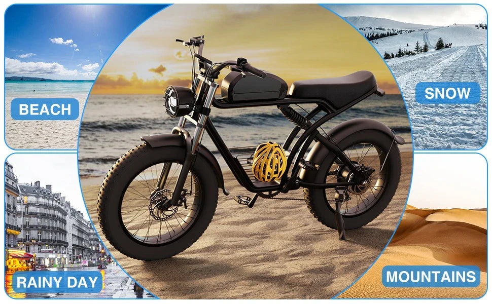 1500W 20" Fat Tire Electric Dirt Bike