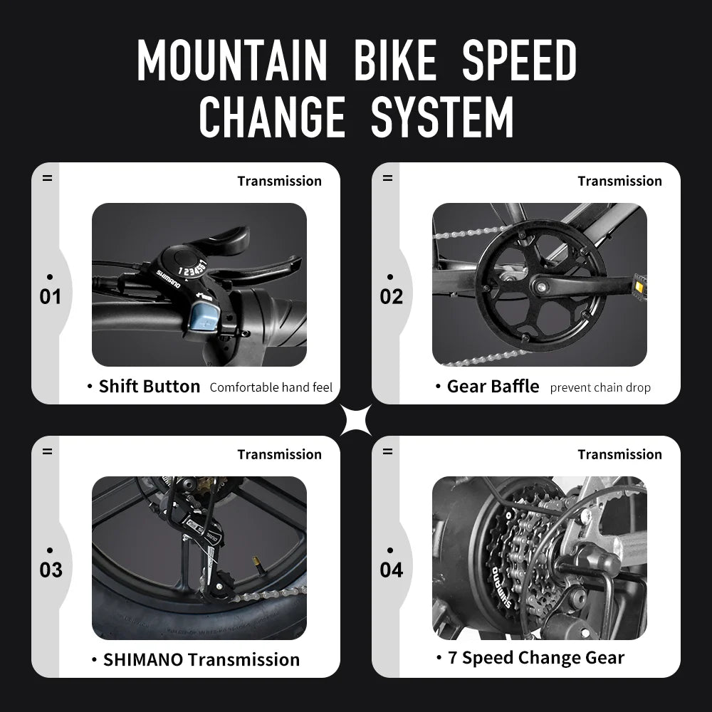 IDOTATA Moped Fat Tire Electric Bike