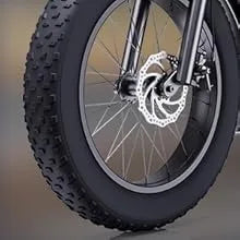 1500W 20" Fat Tire Electric Dirt Bike