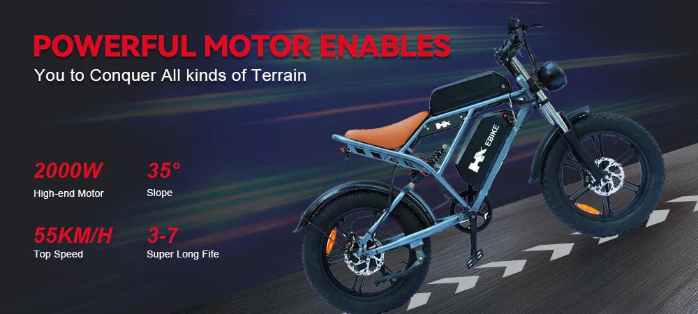 HX Q20PRO 2000W Fat Tire Electric Bike