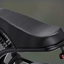 1500W 20" Fat Tire Electric Dirt Bike