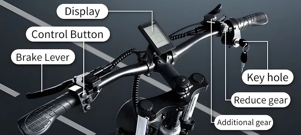 HX Q20PRO 2000W Fat Tire Electric Bike