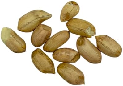 Premium Quality Raw Peanuts in Shell - 10 Pounds – All-Natural Food for Squirrels, Deer, Birds, and Other Wildlife Animals – Grown in The USA for Healthy Nutrition