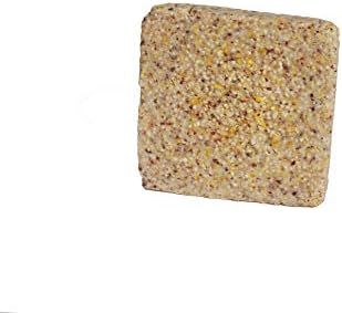 Suet Cake 12 Pack | Case of 12 Suet Cakes for Wild Birds (Woodpecker/Berry/High Energy/Peanut)