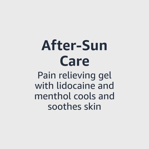 Amazon Basics After Sun Gel with Aloe Vera, Lidocaine and Menthol, 16 Fl Oz (Pack of 2) (Previously Solimo)