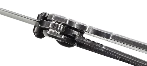 CRKT Squid Folding Pocket Knife: Compact EDC Straight Edge Utility Knife: Assisted Opening, Plain Edge Blade, Frame Lock, Stainless Steel Handle, Pocket Clip, 2493, 12 Count