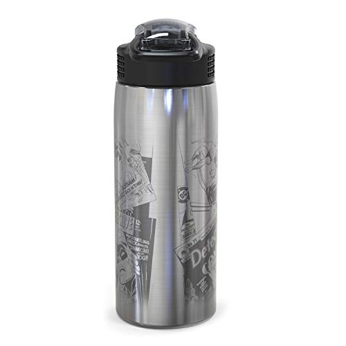 Zak Designs 18/8 Stainless Steel Kids Water Bottle with Flip-up Straw Locking Spout Cover, Durable Cup for Sports or Travel (15.5oz, Paw Patrol Skye),PWPT-S732