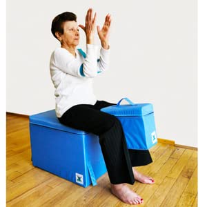 Pain Free At Sea Large Foam Block - Posture Therapy Equipment with Practical Straps & Water-Resistant Cover, Extra Strong Density, Alternative Chair, for Neck, Back, Hip, Knee & Ankle Pain, 18 Inches