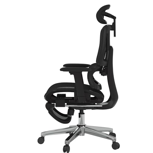 FLEXISPOT ErgoX Premium Ergonomic Office Chair with Footrest- Adjustable 3D Armrests, Dynamic Lumbar Support, Recline & Tilt Function, Mesh Seat, for Home & Office Use,Black