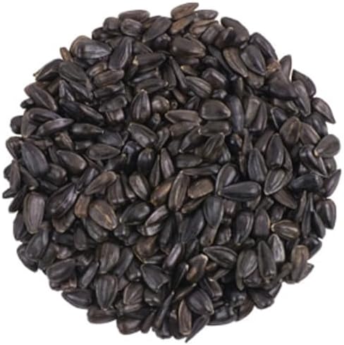 CountryMax Backyard Seeds Black Oil Sunflower (25 Pounds)