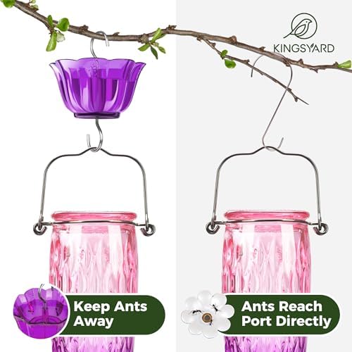 Kingsyard 2 Pack Glass Hummingbird Feeders for Outdoors Hanging, Wild Bird Nectar Feeder with 6 Feeding Ports, 24 oz Leak-Proof, Pink & Purple (Ant Moat Included)
